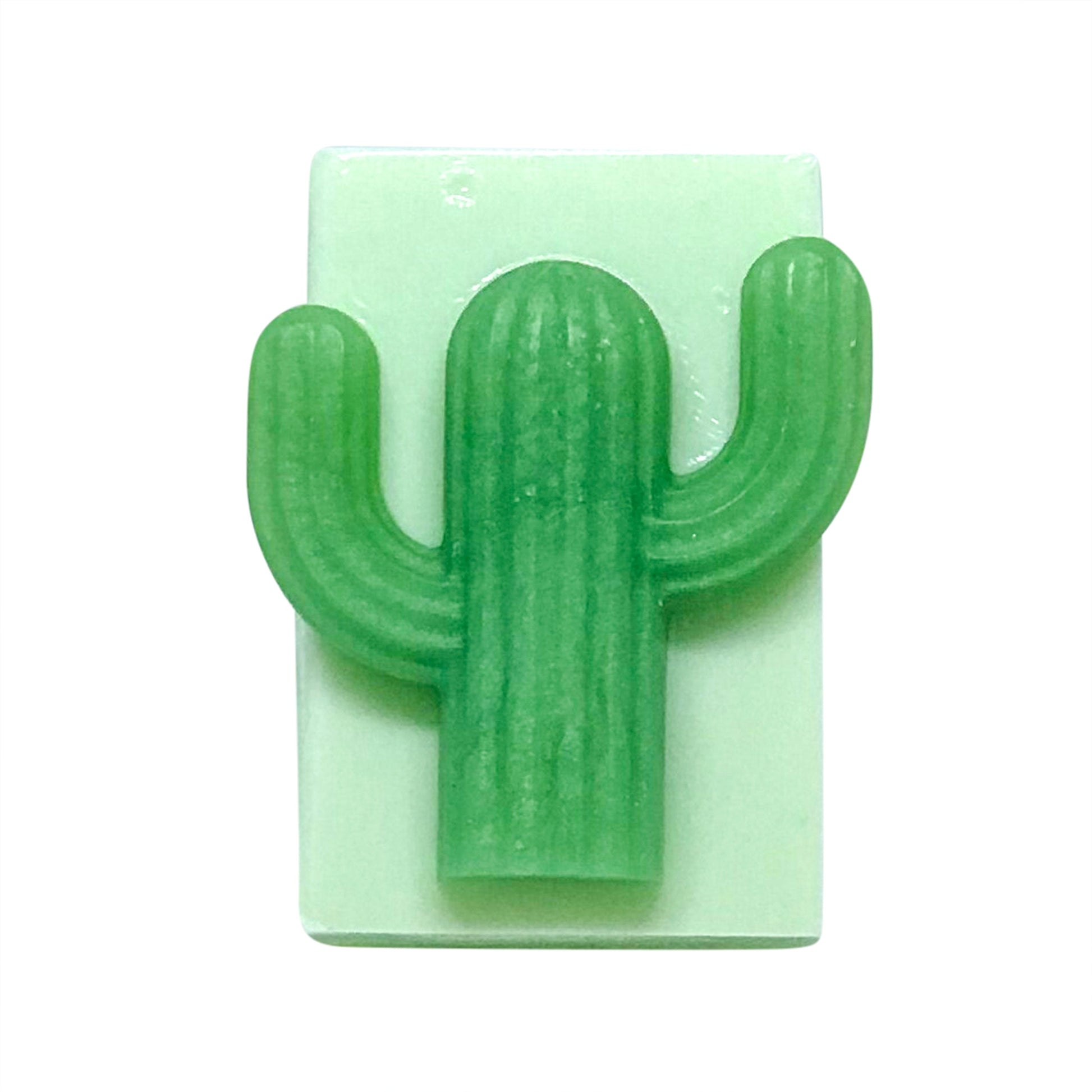 Don't Be a Prick Cactus Bar Soap-NEW Bamboo & Aloe Scent-0